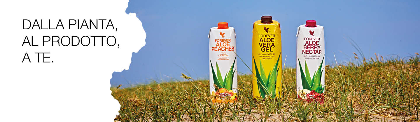aloe 6.jpg